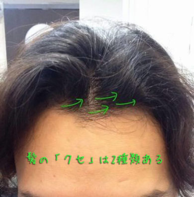 髪の毛 ぺったんこ